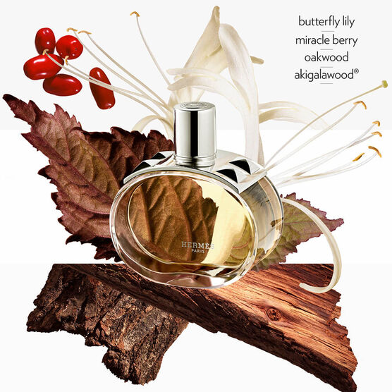 Perfume Hermès Barénia Feminino Eau de Parfum