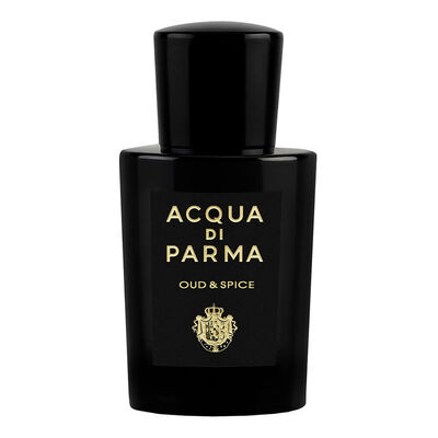 signature oud e spice edp
