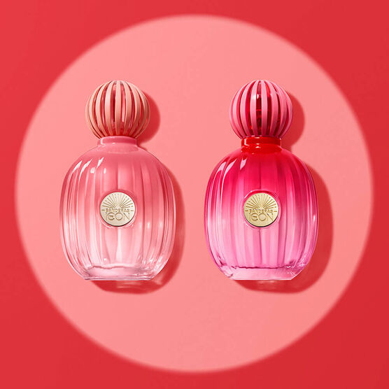 Perfume Banderas The Icon Splendid for Women Feminino Eau de Parfum