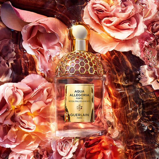 Perfume Guerlain Aqua Allegoria Rosa Palissandro Forte Feminino Eau de Parfum