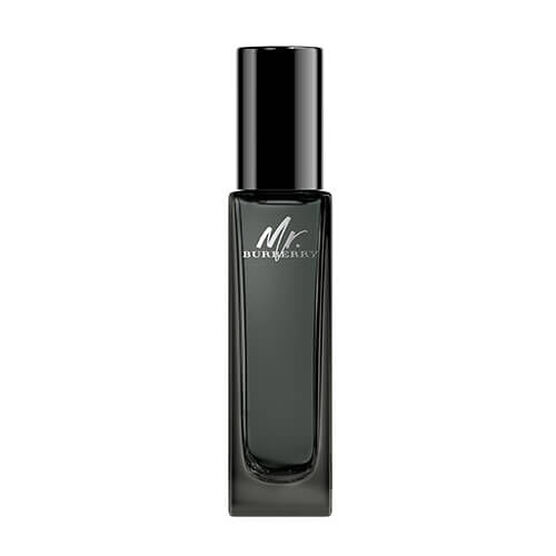 BURBERRY   MR. BURBERRY  EDP  100ML