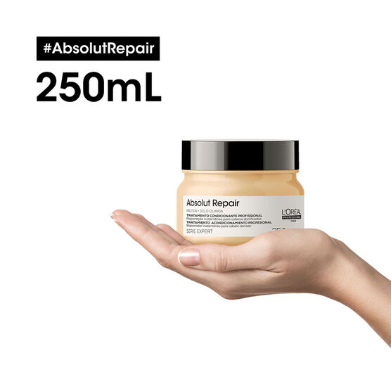 L'OREAL P  ABSOLUT       MASK 250G