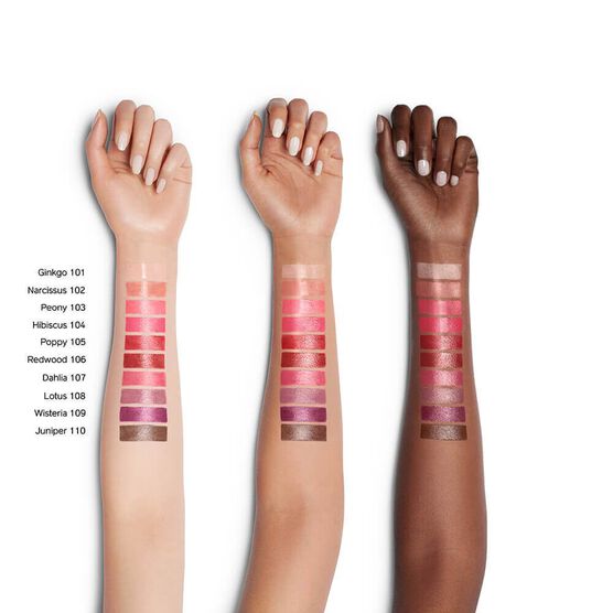 SHISEIDO   COLORGEL      LIP  2G