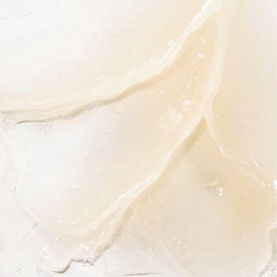 SQUALANE +  ROSE VEGAN L