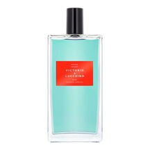 Perfumes Victorio & Lucchino Aguas Sport Nº12 Energía Urbana Masculino Eau de Toilette