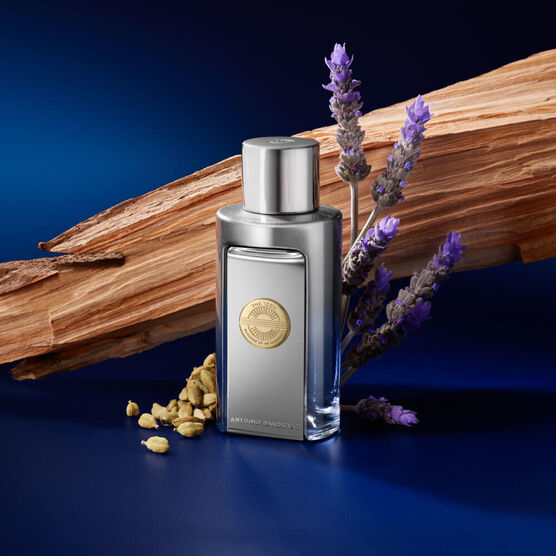 Perfume Banderas The Icon Masculino Elixir
