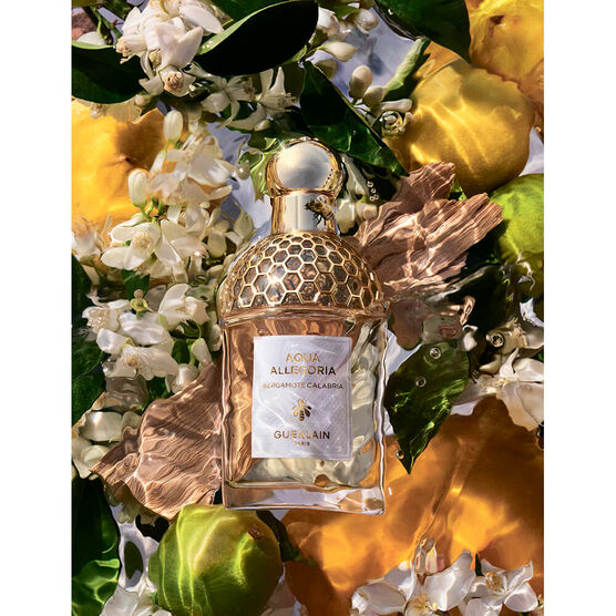 AQUA ALLEGORIA BERGAMO CALABRIA EDT