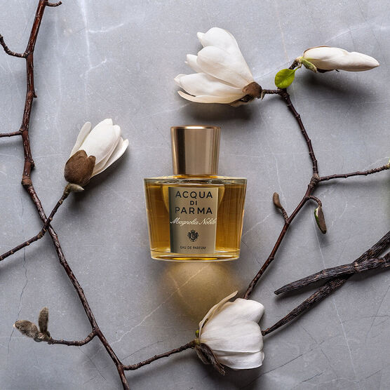 A.DI PARMA 1             EDP  100ML