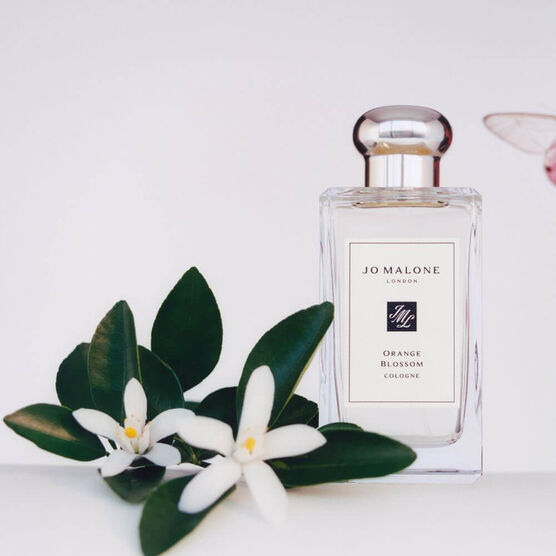 JO MALONE  ORANGE BLO PP EDC 100ML