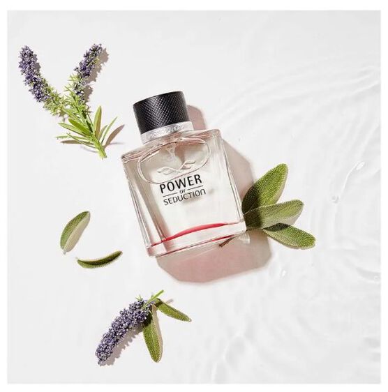 SEDUCTION AB POWER OF SEDUCTION 100ML